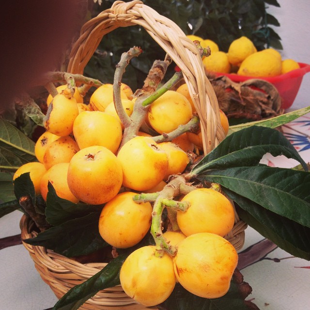 Le escursioni via mare a Lipari